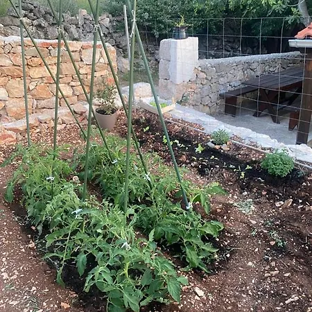 House Of Vrulje (Kornati)