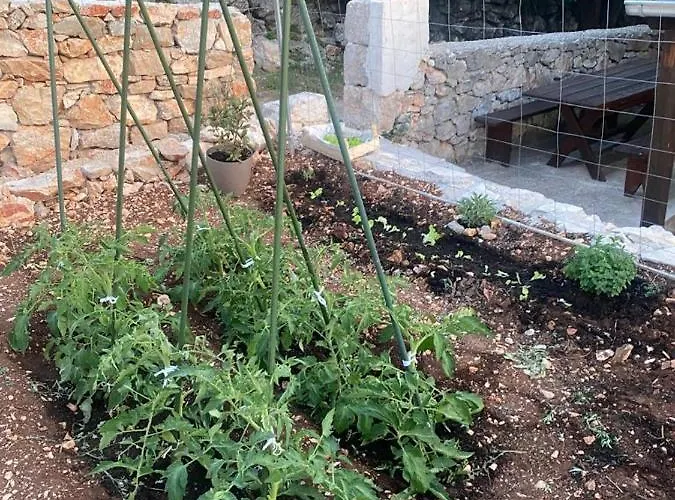 House Of Vrulje (Kornati)